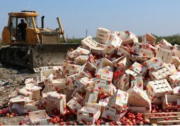 Уничтожение товаров в Беларуси: процедура