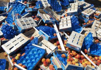 Уничтожение товаров в Беларуси предписанных к уничтожению