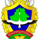 Постановление Министерства природных ресурсов и охраны окружающей среды Республики Беларусь от 20 ноября 2019 г. № 40